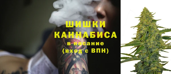 сатива Заводоуковск