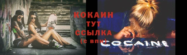 сатива Заводоуковск