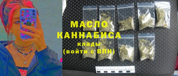 сатива Заводоуковск
