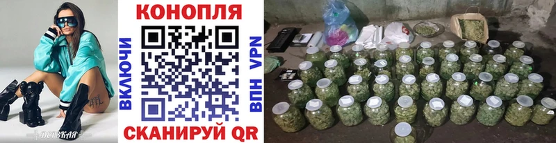Бошки марихуана OG Kush  Купить закладки  Черепаново 